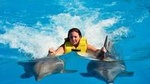 Hurghada Dolphin House and Banana Boat Fun with Snorkeling Time with Lunch Inc