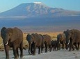 Overnight Amboseli National Park Safari from Nairobi