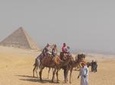 Private Half Day Trip to Giza Pyramids and sphinx with Camel Riding- Guide Inc