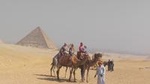 Private Half Day Trip to Giza Pyramids and sphinx with Camel Riding- Guide Inc