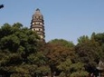 Private Day Excursion to Suzhou from Shanghai