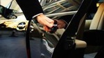 Door-To-Door Private Transfer Civitavecchia Port to Venice or viceversa