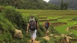 Sapa :2 - Day Homestay trekking Tour