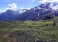 Seward Wilderness Hiking