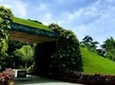 Visit The Huddleston Gardens and Semmozhi Poonga in Chennai