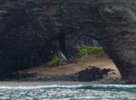 See Honopū Arch, Nāpali Coast, Kauaʻi