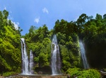 See Sekumpul Waterfall, Bali, Indonesia