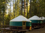 Camp at Camp Wawona, Yosemite National Park 