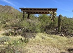 Visit Mam-A-Gah Picnic Area, Saguaro National Park, Arizona