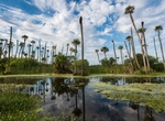 Visit Orlando Wetlands Park, Christmas, Florida
