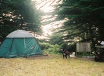 Camp at Bicentennial Campground, Fort Barry, California