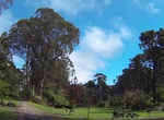 Visit Marx Meadow, Golden Gate Park, California