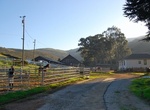 Ride Horses at Miwok Livery Stables, Mill Valley, California