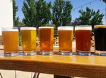 Drink Beer at Belching Beaver Brewery Tavern and Grill (Vista), California