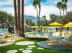 Stay at The Monkey Tree Hotel, Palm Springs, California