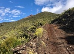 Explore Polipoli Spring State Recreation Area, Maui, Hawaii
