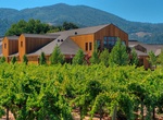 Wine Taste at Cakebread Cellars, Napa Valley, California