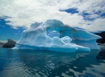 Kayak & Camp Bear Glacier Lagoon, Kenai Fjords National Park, Alaska