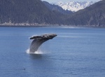Explore Northwestern Lagoon, Kenai Fjords National Park, Alaska
