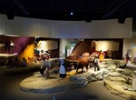 Visit National Historic Trails Interpretive Center, Casper, Wyoming