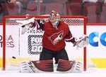 Attend Arizona Coyotes NHL Game at Gila River Arena, Glendale, Arizona