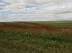 Explore Fort Pierre National Grassland, South Dakota