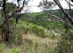 Explore Wild Basin Wilderness Preserve, Austin, Texas