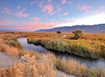 Camp at Pleasant Valley Campground, Bishop, California