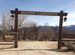 Camp at  Brown’s Millpond Campground, California