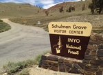 Visit Schulman Grove Visitor Center, Ancient Bristlecone Pine Forest, California