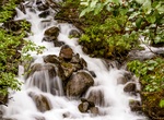 Hike Trail of Time Trail, Mendenhall Glacier, Alaska