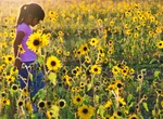 See Wildflowers at Great Sand Dunes National Park, Colorado