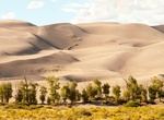 Visit Sand Pit Picnic Area, Great Sand Dunes National Park, Colorado