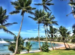 Stay at Dorado Beach a Ritz-Carlton Reserve, Puerto Rico