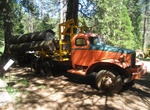 Visit Sierra Nevada Logging Museum, Arnold, California