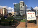 Play Ball at Bumble Bee Ballpark, Park in the Park