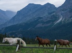 Visit Belly River Ranger Station Historic District, Glacier National Park, Montana