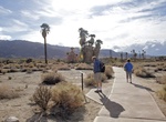 Hike The Oasis of Mara, Joshua Tree, California