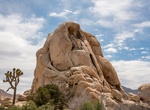 Rock Climb Intersection Rock, Joshua Tree National Park