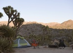 Camp at Black Rock Campground (Joshua Tree), California