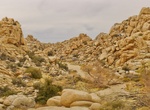 Hike to Willow Hole, Joshua Tree National Park