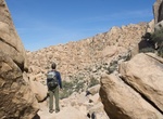 Explore Wonderland of Rocks, Joshua Tree National Park, California