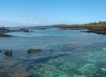 Explore or Snorkel Kapoho Tidepools, Big Island, Hawaii