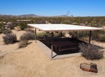 Visit Cottonwood Picnic Area, Joshua Tree National Park