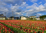 Visit Tōhoku Region, Japan