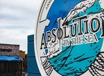 Drink Beer at Absolution Brewing Company, La Jolla, California