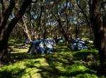 Camp at Conto Campground, Western Australia