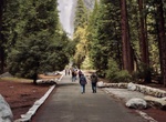Visit Lower Yosemite Fall Picnic Area, Yosemite National Park, California