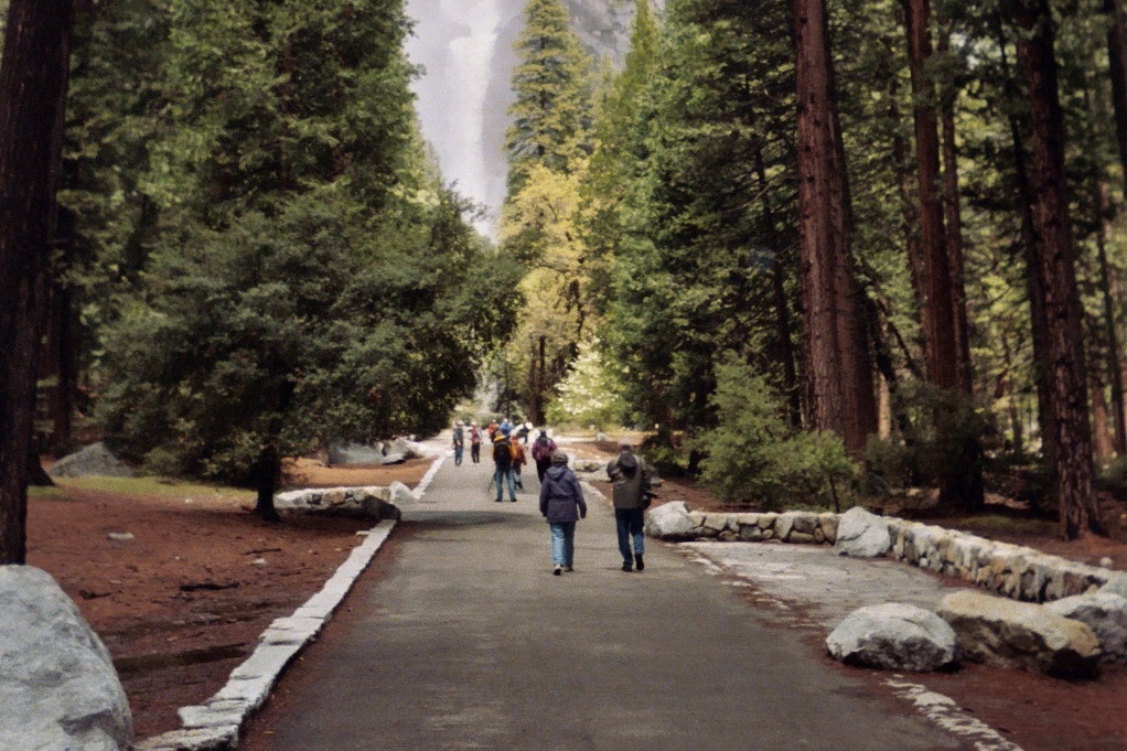 Lower Yosemite Fall Picnic Area