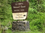 Visit Quinault Rain Forest Ranger Station, Olympic National Park, Washington